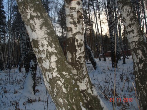 DSC04667_r